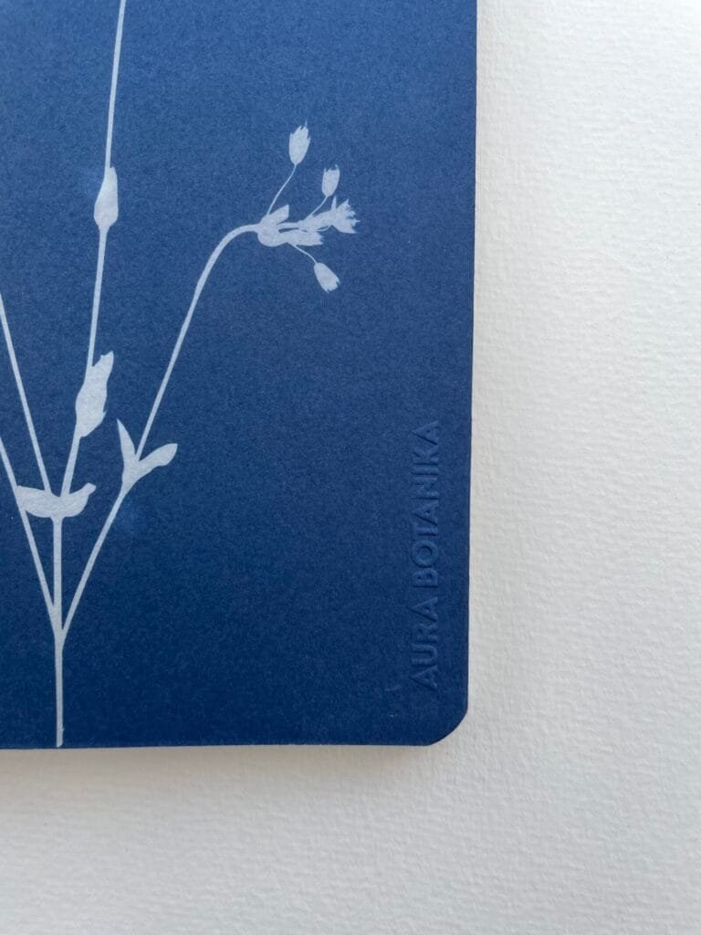 Flores silvestres · Libreta grande