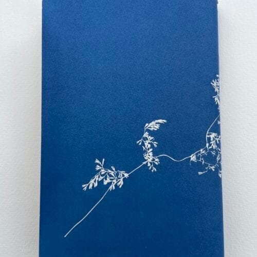 Helecho encaje · Libreta grande