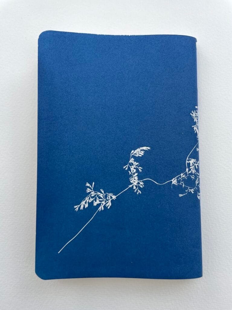 Helecho encaje · Libreta grande