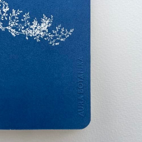 Helecho encaje · Libreta grande