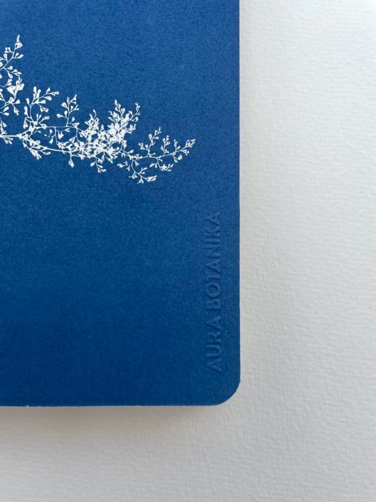 Helecho encaje · Libreta grande