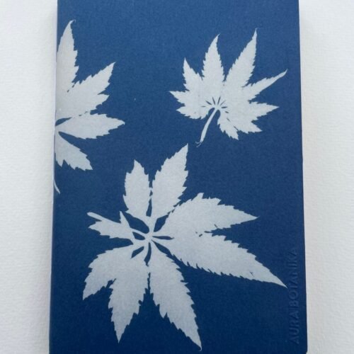 IMG_6636 Hojas de caigua · Libreta grande