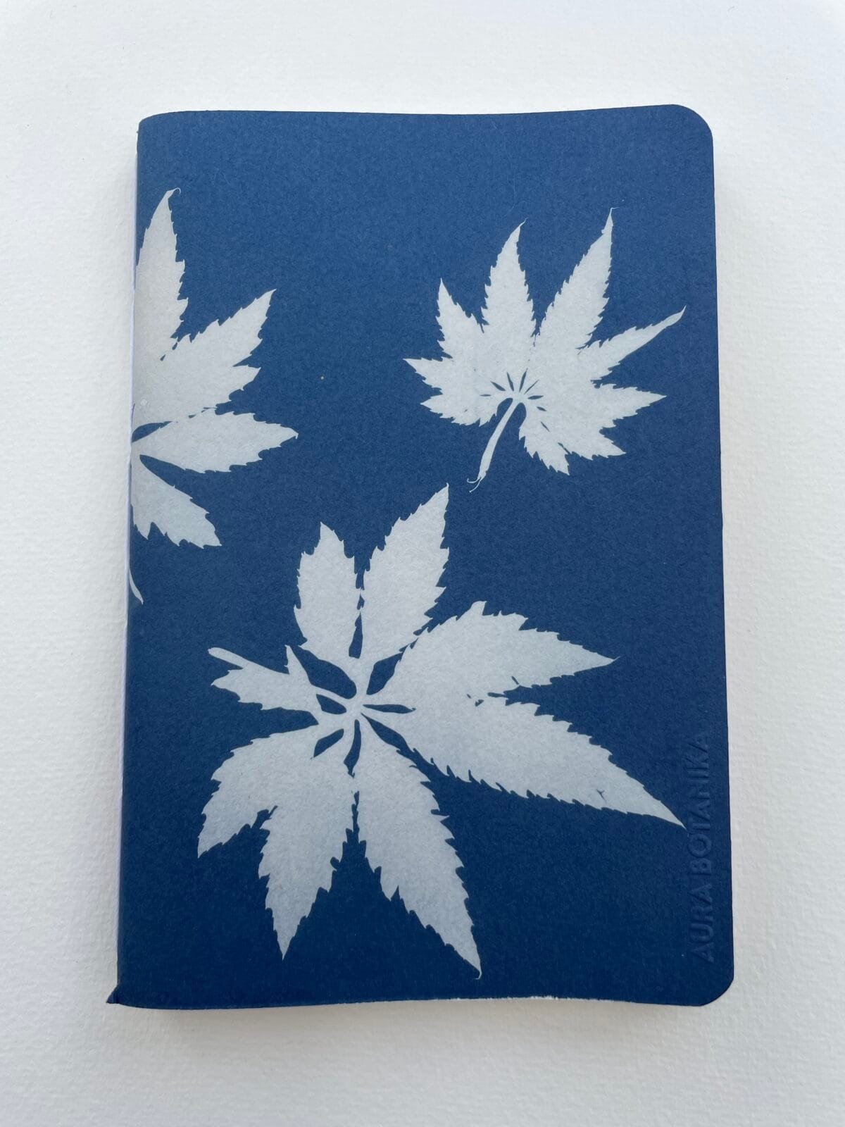 IMG_6636 Hojas de caigua · Libreta grande