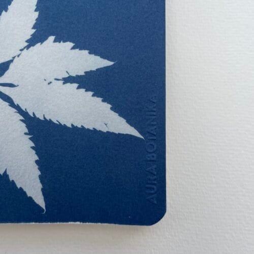 IMG_6638 Hojas de caigua · Libreta grande