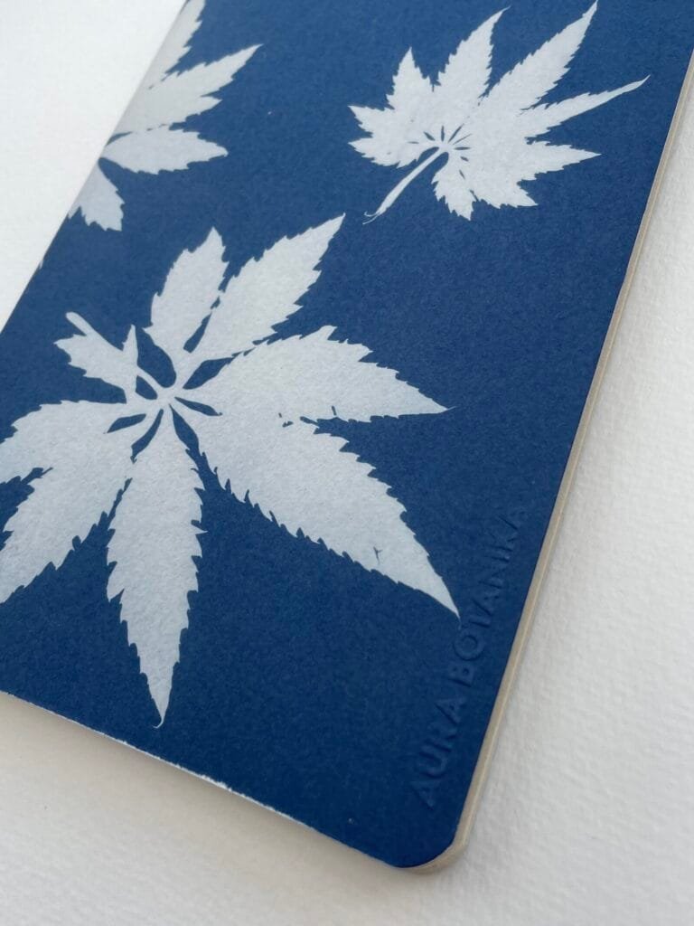 IMG_6639 Hojas de caigua · Libreta grande