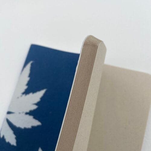 IMG_6640 Hojas de caigua · Libreta grande