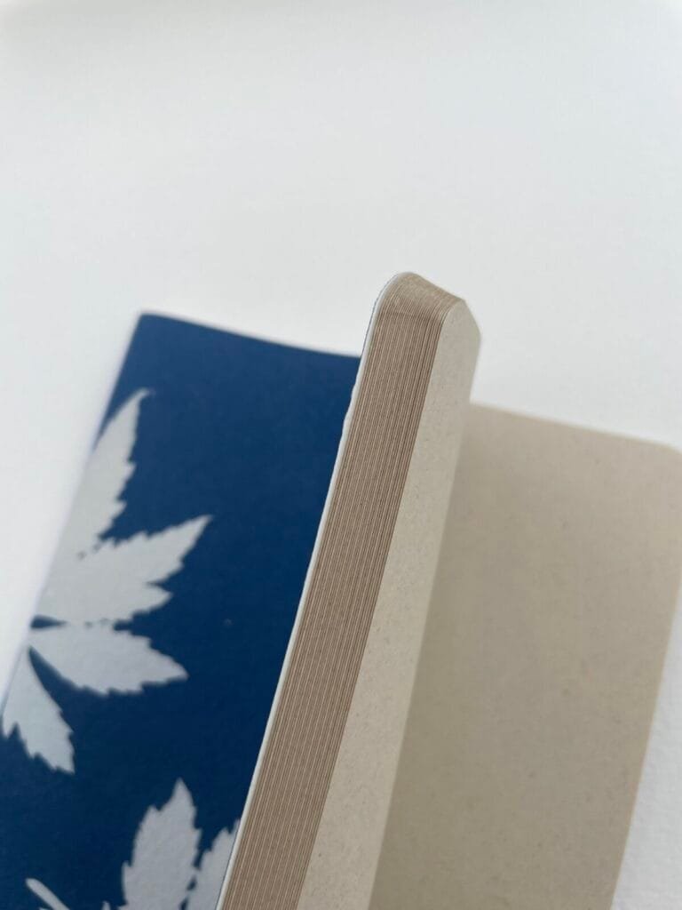 IMG_6640 Hojas de caigua · Libreta grande