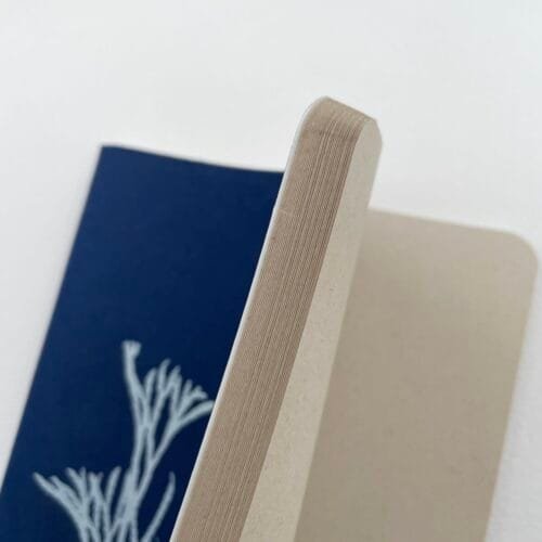 Licopodio · Libreta grande