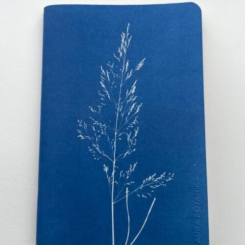 Grama del monte · Libreta grande