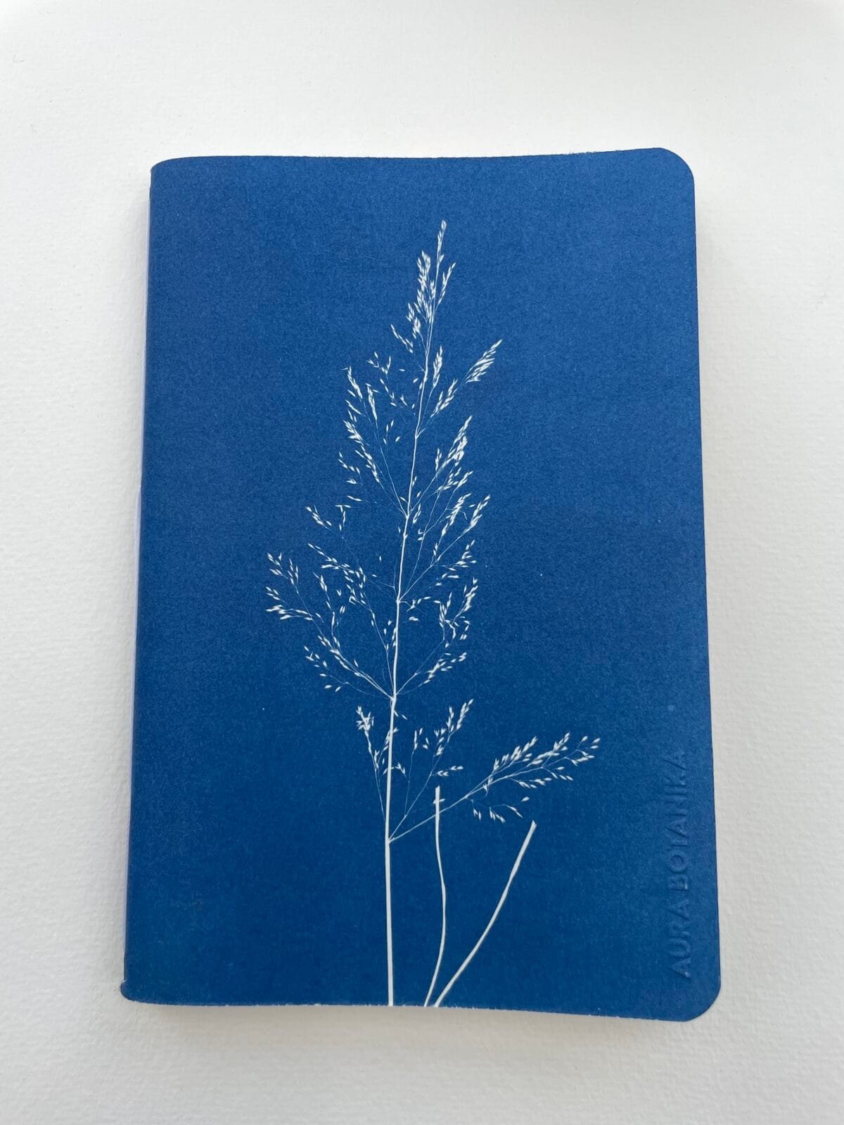 IMG_6651 Grama del monte · Libreta grande