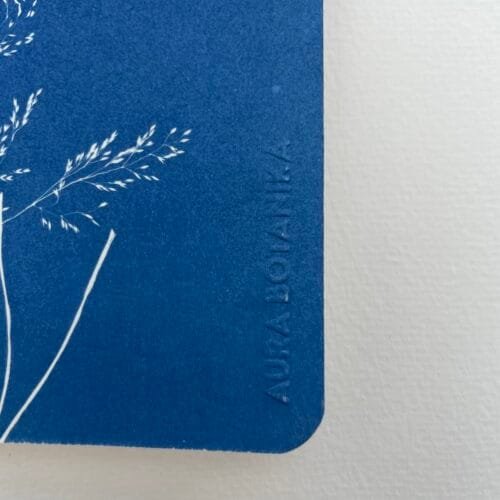 Grama del monte · Libreta grande