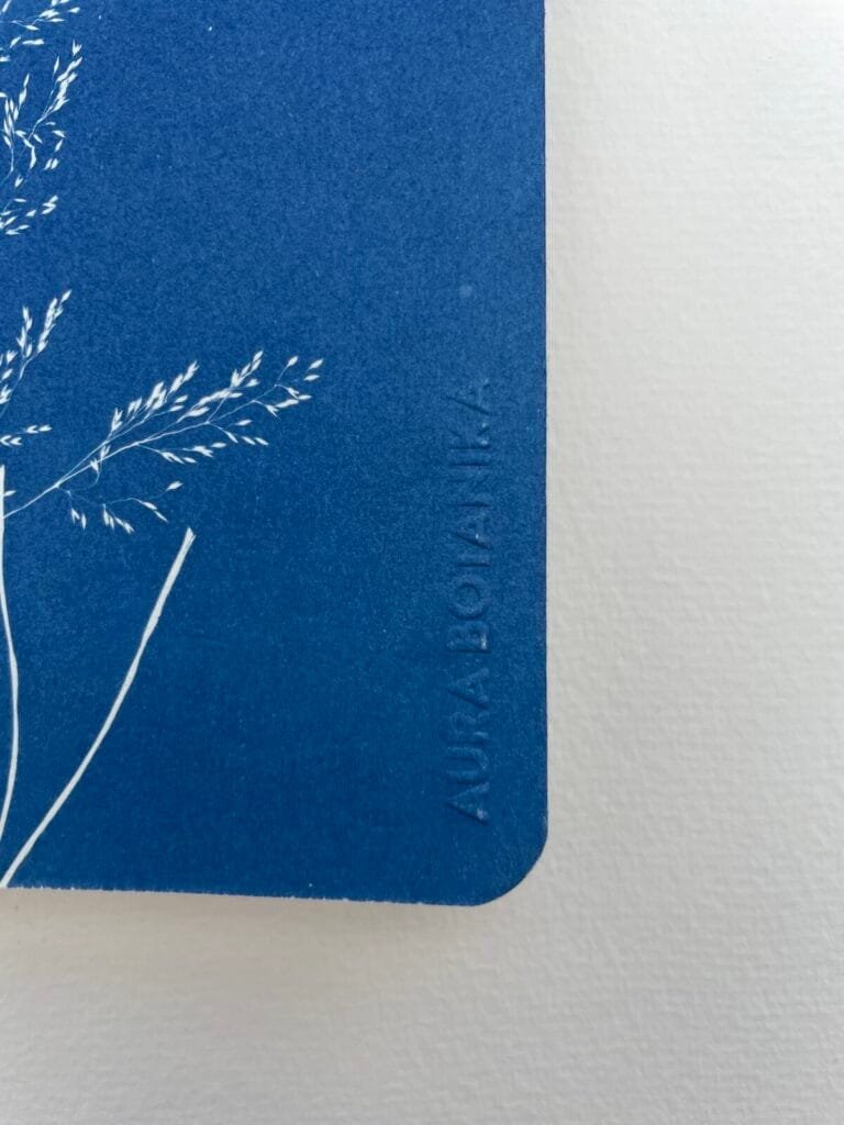 Grama del monte · Libreta grande