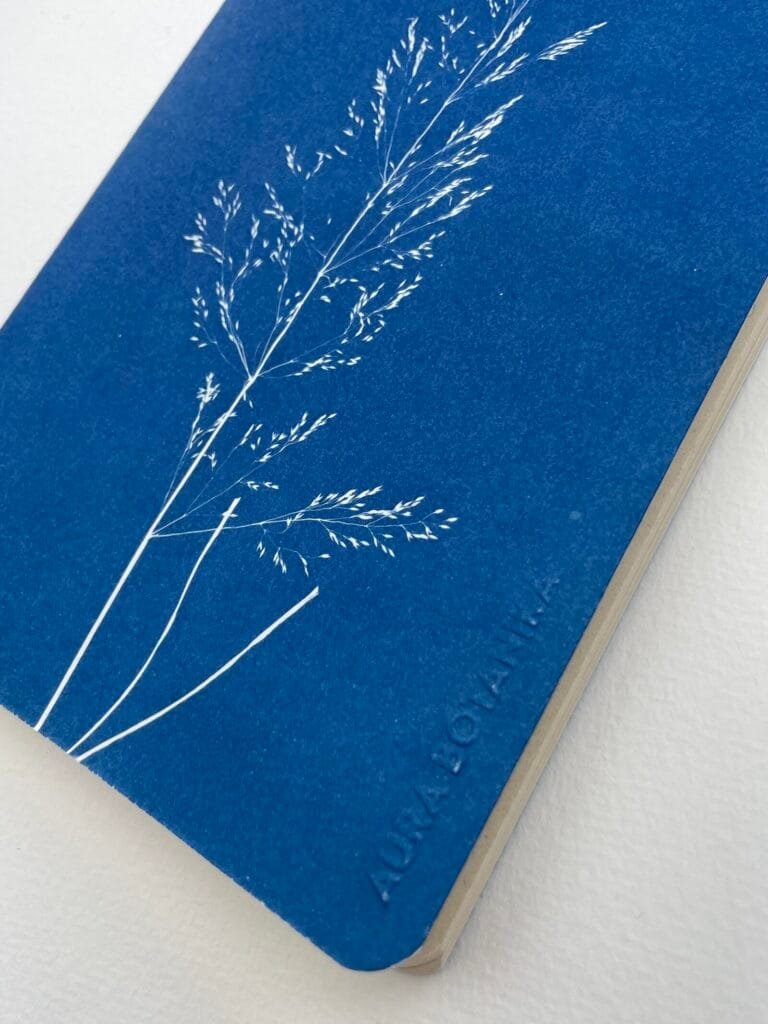 Grama del monte · Libreta grande