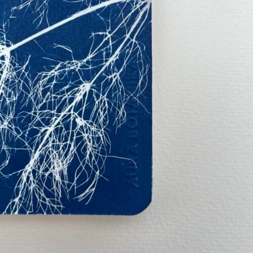 Hinojos · Libreta grande