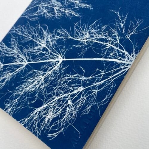 Hinojos · Libreta grande