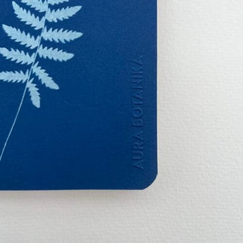 Helecho · Libreta pequeña