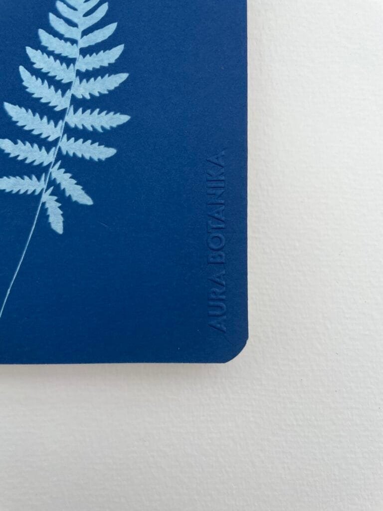 Helecho · Libreta pequeña