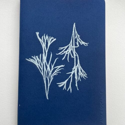 Licopodio · Libreta grande