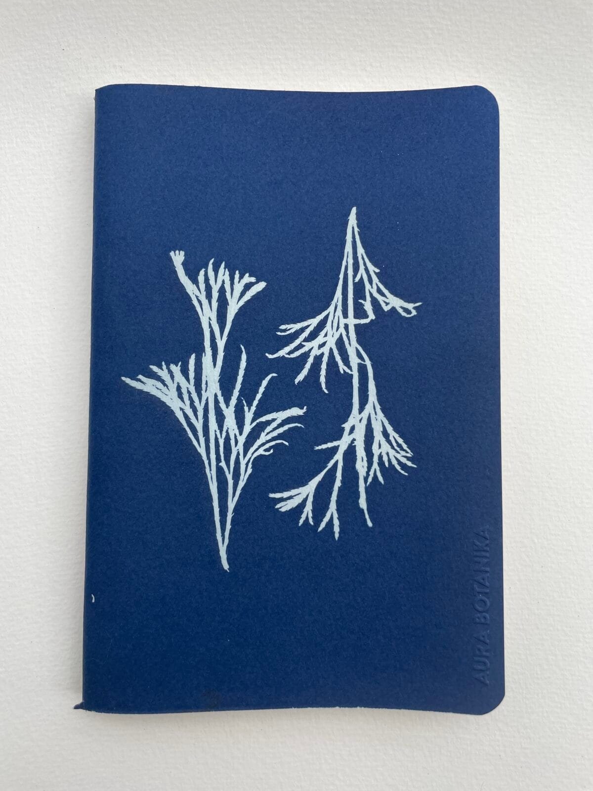 IMG_6667 Licopodio · Libreta grande