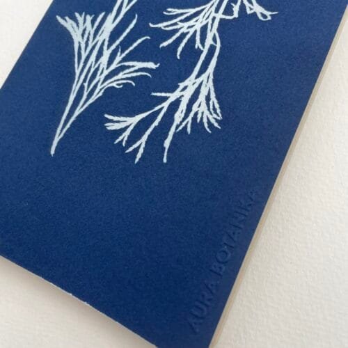 Licopodio · Libreta grande