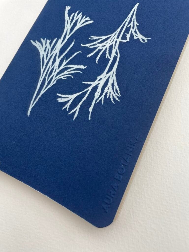 Licopodio · Libreta grande