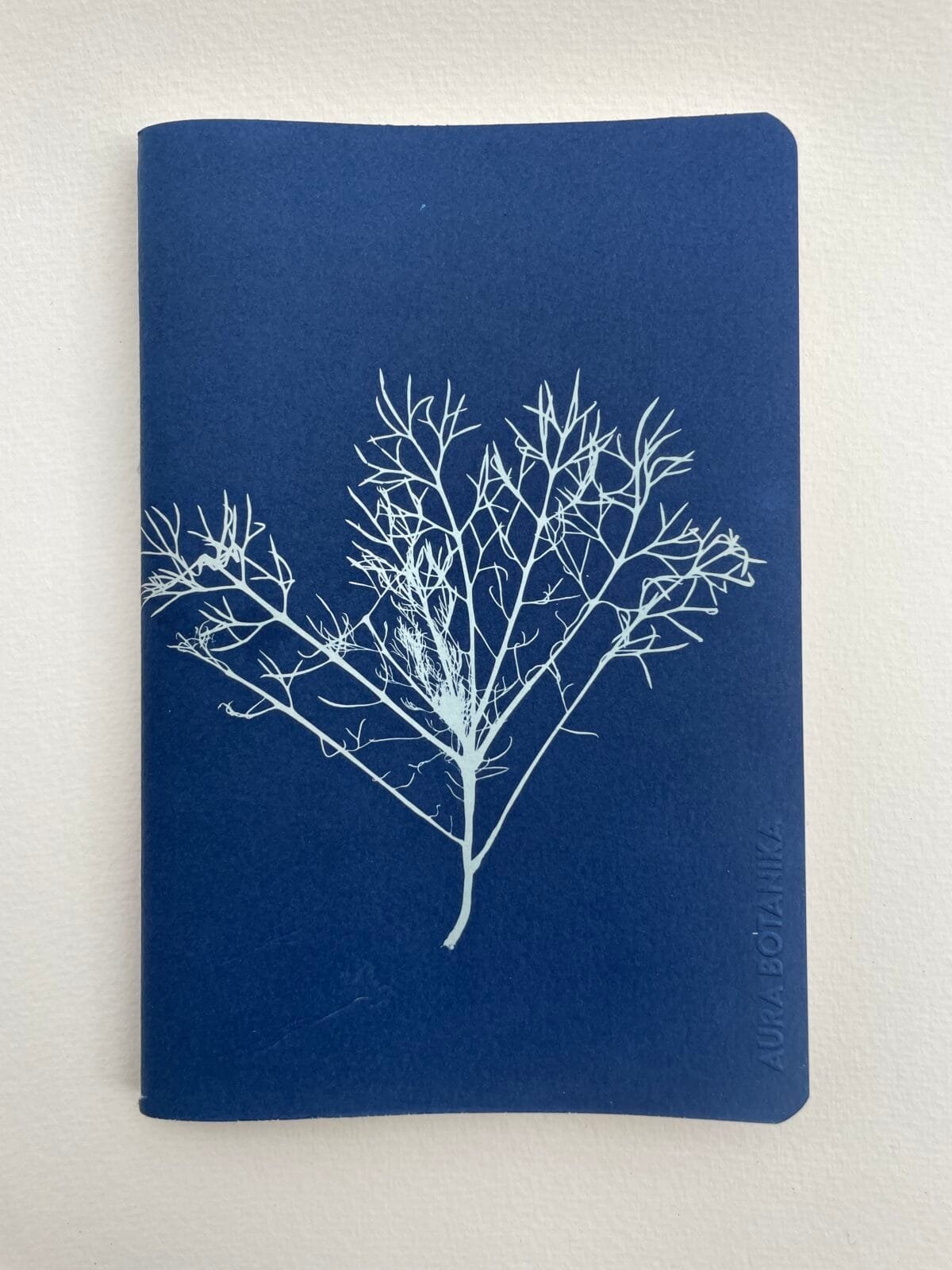 IMG_6672 Alga del monte · Libreta grande