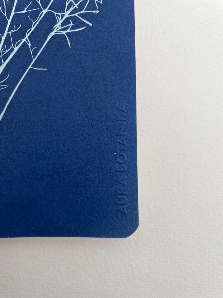 Alga del monte · Libreta grande