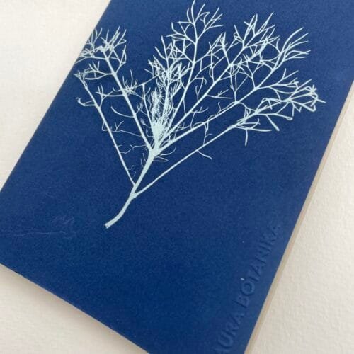 Alga del monte · Libreta grande