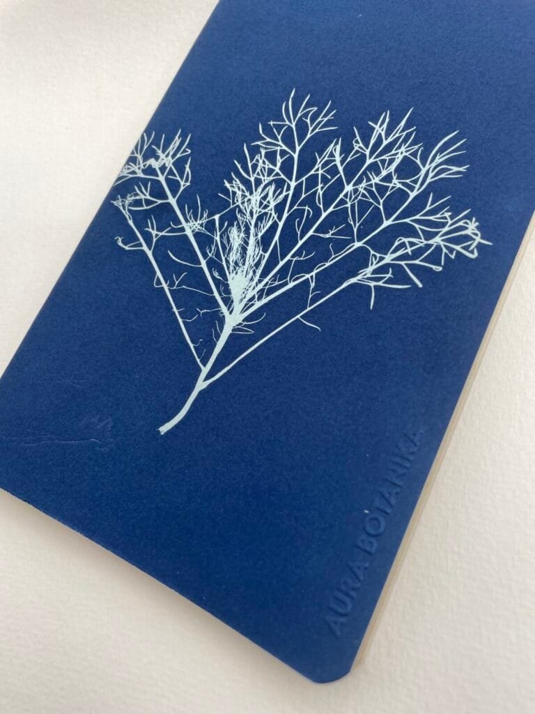 Alga del monte · Libreta grande