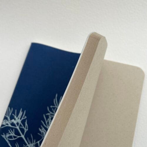 Alga del monte · Libreta grande