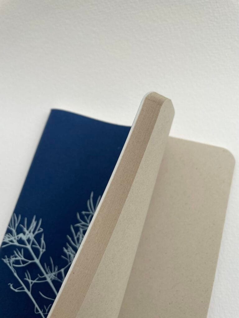 Alga del monte · Libreta grande