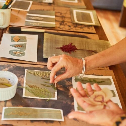 Abril 2026 · Taller "Del vegetal a la obra"