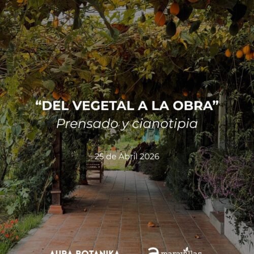Abril 2026 · Taller "Del vegetal a la obra"