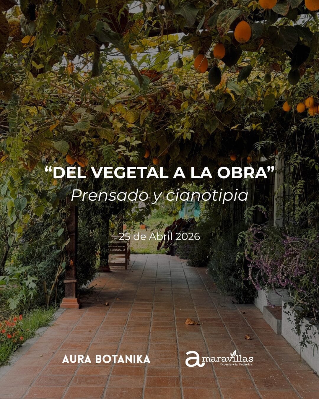 Abril 2026 · Taller "Del vegetal a la obra"