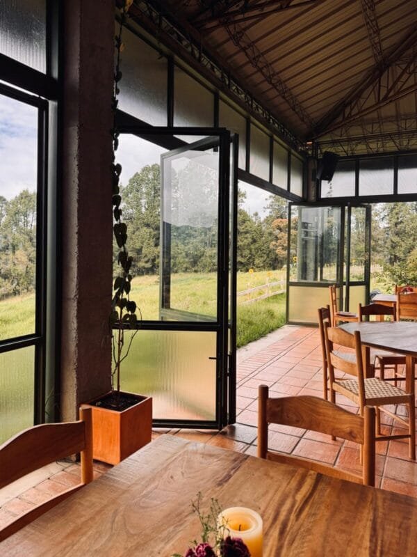 Abril 2026 · Taller "Del vegetal a la obra"