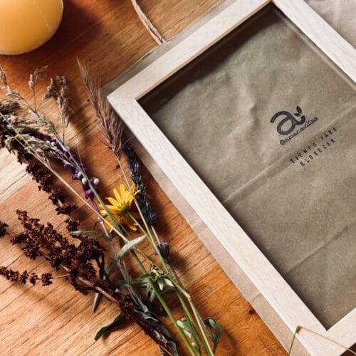 Abril 2026 · Taller "Del vegetal a la obra"