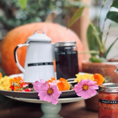 Abril 2026 · Taller "Del vegetal a la obra"