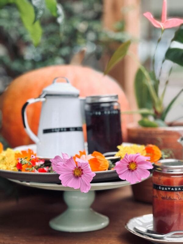 Abril 2026 · Taller "Del vegetal a la obra"