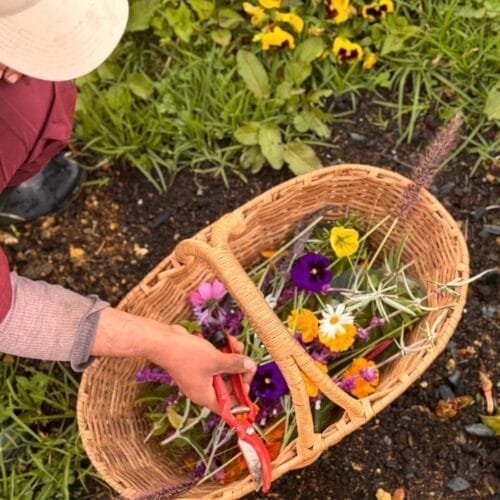 Abril 2026 · Taller "Del vegetal a la obra"