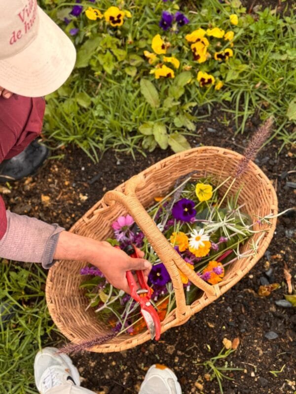Abril 2026 · Taller "Del vegetal a la obra"