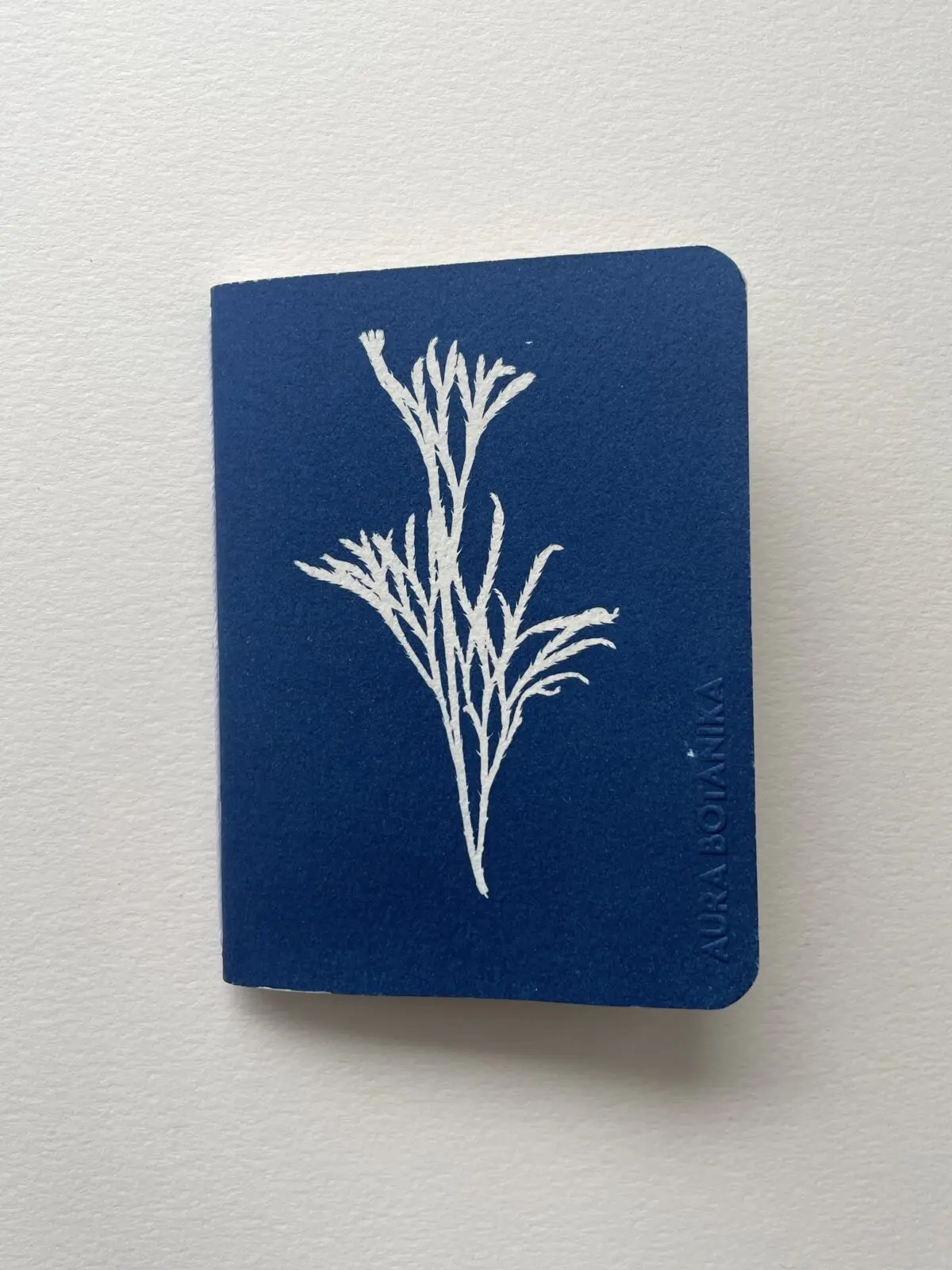 Licopodio · Libreta pequeña